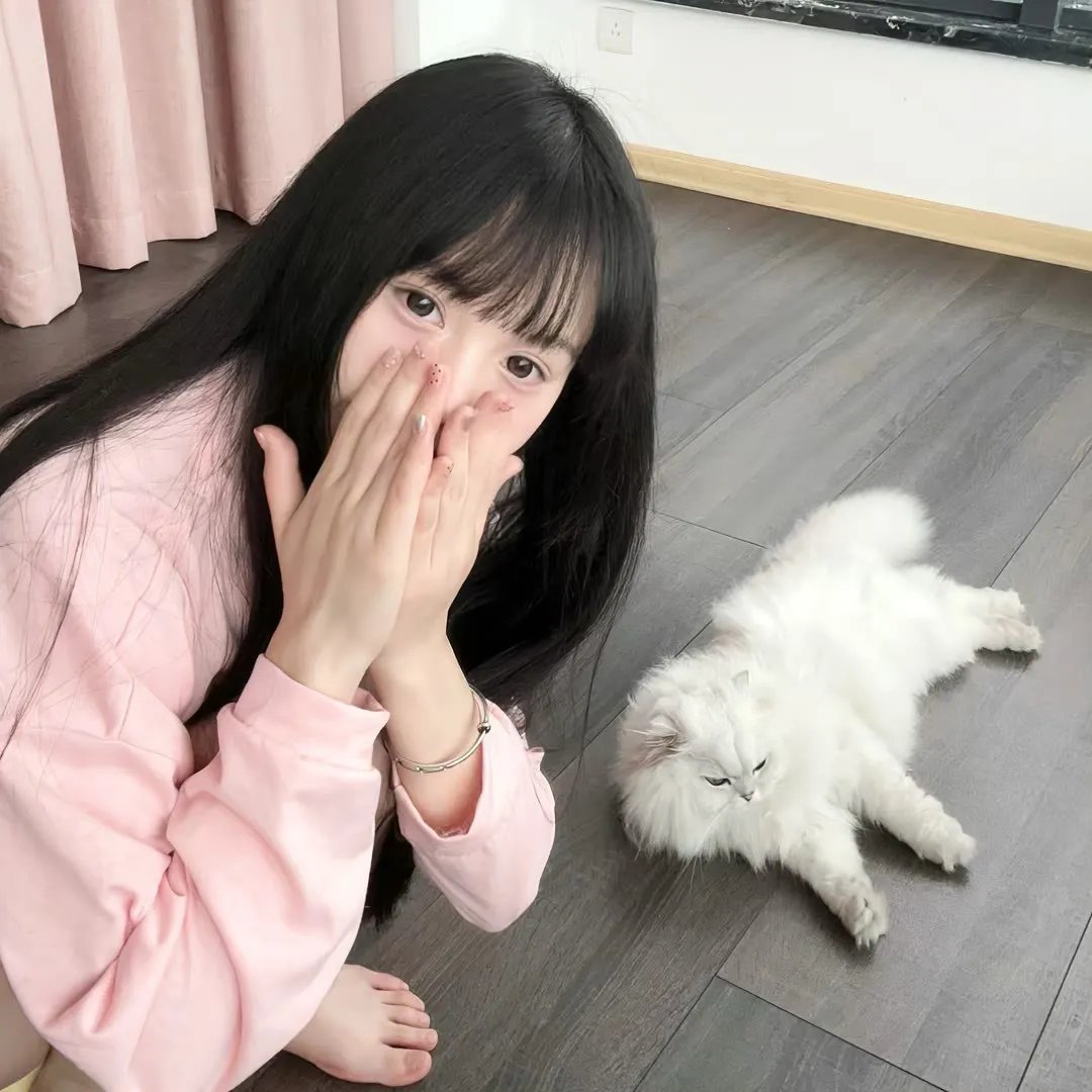 皮杜拉
